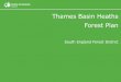Thames Basin Heaths Forest Plan - Forestry Commission · New Planting through mineral site restorations 63.8 Underplanting 12.1 ... Objectives Context Location Landscape and Historical