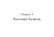 Nervous System › uploads › 1 › 3 › 9 › 8 › 13981972 › ... · General Functions of the Nervous System A. Sensory receptors at the ends of peripheral nerves gather information