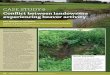 CASE STUDY 6 - University of Exeter · 2020-03-06 · CASE STUDY 6 Conflict between landowners experiencing beaver activity Overview of site and beaver behaviour This case study provides
