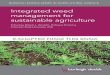 Integrated weed management for sustainable …...that nearly 50% of US growers are now dealing with GR weeds in their fields (Fraser 2013). Therefore, weed management practices must