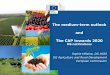 The medium-term outlook and The CAP towards 2020...• VCS if more than 13 (+2)% • Greening equivalence • DG AGRI services assessed completeness and consistency of notifications