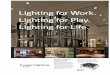 Lighting for Work. Lighting for Play. Lighting for Life. · Built by lighting designers for lighting designers We listen to our customers and develop IRiS products based on the feedback