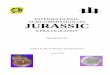 INTERNATIONAL SUBCOMMISSION ON JURASSIC · ISJS NEWSLETTER 31: 2 perhaps for the future more specific targets should be set. By contrast thematic sessions during the Jurassic Symposia,