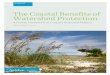 Audubon Florida - The Coastal Benefits of …...ECOLOGICAL WEALTH AND VULNERABILITY Coasts, like other ecotones, or areas of transition between distinct habitat types, may be good