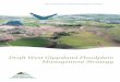 Draft West Gippsland Floodplain Management Strategy · 2017-05-12 · 2.3 Integrated catchment management ..... 23 2.4 Regional risk assessment ... The vision for the strategy is