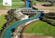INTERNA TIONAL RiverFoundation International RiverFoundation€¦ · Our Foundation is best known for awarding the most prestigious global river management award – the Thiess International