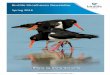 Spring 2016 - BirdLifedirect.birdlife.org.au/images/uploads/branches/documents/... · 2017-01-23 · BirdLife Shoalhaven Newsletter – Spring 2016 – Page 3 President's Report -