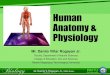 Human Anatomy & Physiology Human Anatomy & Physiology â€¢Gross anatomy, or macroscopic anatomy, considers