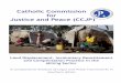Catholic Commission for Justice and Peace (CCJP) …...Comparative Analysis of Legal and Policy Framework in Mining: Displacement, Involuntary Resettlement and Compensation i The Catholic