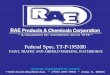 Federal Spec. TT-P-1952(B) - RAE Products & Chemicals Corp ... · RAE Products & Chemicals Corporation ~ A reputation for excellence since 1976 ~ Federal Spec. TT-P-1952(B) PAINT,