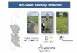 Tees-Swale: naturally connected - Yorkshire Dales National ... · Project area Priority habitat – 502 sq km (61%) Blanket Bog & Valley Mire – 400 sq km (48%) Upland & Lowland