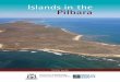 Islands in the Pilbara · shearwaters visit the islands, returning to their very own burrows each year, to nest from November to April. *Shaded squares indicate nesting months, but