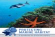 PROTECTING MARINE HABITAT · Humpback Whales, our waters are home to more than 12,000 known species, and more are being discovered each year. Seagrass meadows, rocky algal reefs,