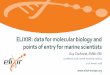 ELIXIR: data for molecular biology and points of entry for ... · ENA, EGA, PDBe, EuropePMC, … Bioinformatics tools: Bio.tools Data Interoperability: BioSharing, identifiers.org