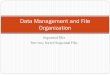 Data Management and File Organizationceng351.cankaya.edu.tr/uploads/files/Week-3_2014.pdf · Data Management and File Organization Author: roya Created Date: 10/21/2014 10:46:30 AM