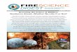 ISSUE 22 JANUARY 2016 Scanning the Future of Wildfire · 2016-01-05 · Scanning the Future of Wildfire: Resilience Ahead…Whether We Like It or Not? ISSUE 22 JANUARY 2016 The field