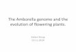 The Amborella genome and the evolution of flowering plants. · –Paljunemine (sh MADS-Box) –Õie teke (Arabidopsis) –Regulatoorsed •Transkriptsioon •Geeniekspressiooni •Biokeemilised