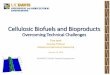 Cellulosic Biofuels and Bioproducts Cellulosic Biofuels and Bioproducts Overcoming Technical Challenges