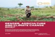 GENDER, AGRICULTURE AND CLIMATE CHANGE …...2. Multiple international, national and local institutions are pursuing promising approaches to a gender-focused analysis and integration