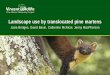 Landscape use by translocated pine martens 39 Pine martens translocated from the Scottish Highlands