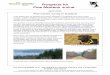 Prospects for Pine Martens e-zine - Vincent Wildlife Trust · 2015-04-09 · pine martens in areas where they are present. However, it is worth bearing in mind that the area in which