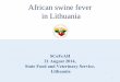 African swine fever in Lithuania · 2016-10-17 · Lithuania 1 African swine fever in Lithuania. 2 ASF positive wild boar cases on 24 of January 2014. 3. Primary outbreak of ASF (ASF/1)