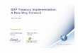 SAP Treasury Implementation: A New Way Forward...Treasury & Banking Expertise SAP Expertise Treasury Technology What We Bring Methodology + + 10! Our Qualifications Nasarius is an