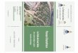 Les Forêts des Zones Sèchesgire-pse.com/document/result/LamraniAlaoui_al_pg.pdf · 2019-07-13 · Zine El Abidine, Mohamed Bouderrah, Ahmed Moustahssen, Mohammed S. Lamhamedi et