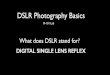 DSLR Photography Basics - 2019-11-27آ  DSLR Photography Basics M-101 Lab What does DSLR stand for? DIGITAL