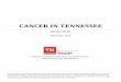 CANCER IN TENNESSEE - TN.gov...Cancer incidence is defined as the number of new cancers diagnosed in the population at risk. The cancer incidence rate is the number of new cases of