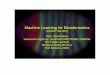 Machine Learning for Bioinformaticsperkins/COMP766001_Fall2006/Lecture01… · Machine Learning for Bioinformatics ... From “Data Mining: Practical Machine Learning Tools and Techniques