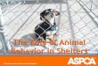 The Role of Animal Behavior in Shelters - G2Z Behavior Evaluations.pdf · 10/10/2013 4 Deployments Evaluation Enrichment, Socialization, Rehabilitation Supporting Evidence for Prosecution