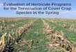 Evaluation of Herbicide Programs for the Termination of ...mccc.msu.edu/wp-content/uploads/2017/08/MO_2015... · 14”; Pre-boot Late (May 16) 36”; Boot ---product/A--- --% Ann