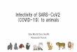 Infectivity of SARS-CoV2 (COVID-19) to animals · 2020-05-21 · About SARS-CoV2 target for antiviral neutralizing antibodies [12]. S1 contains a re-ceptor-binding domain (RBD) that