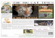 THE BIG CAT TIMES · Big Cat Rescue received – reviews written by volunteers, donors and clients. People posted their personal experience with BCR. For example, one person wrote,
