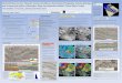 Multi-Attribute Seismic Wheeler Volume Workflows ... · Multi-Attribute Seismic Wheeler Volume Workflows, Illuminating Stratigraphy, Geomorphology, and Prospectivity within a Mezardere