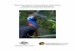 Recovery plan for the southern cassowary (Casuarius ...€¦ · Successful recovery efforts may have positive social, economic and educational impacts. The cassowary is a flagship