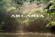 Arcadi Annual Review · 2014-02-19 · mathematics graduates in Africa, to think-tanks exploring issues of religion and democracy in Europe. In changing our name to Arcadia, we have