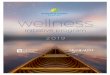 wellness - Charlotte County, Florida · 2019-02-21 · Wellness at Work Challenges…100 pts (HealthyWage (Personal Challenge), $10,000 Team Challenge, and more.) Volunteering…25