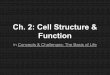 Ch. 2: Cell Structure & Function€¦ · DESCRIBE the functions of the parts of a cell. Organelles A cell is like a factory ... Passive Transport : Cell membranes have very tiny holes