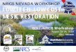 NRCS NEVADA WORKSHOP LOW TECH- LOW COST ......•Chapter 1 – Background and Purpose • Chapter 2 – The Role of Meals and Exercise in Restoring Healthy Lifestyles for Riverscapes