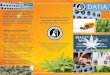 Ten Marijuana Myths DATIA - Drug Free America Foundation · National Institute on Drug Abuse, marijuana accounted for 4.5 of the 7.1 million Americans dependent on or abusing illicit