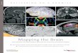 Mapping the Brain - Le Bonheur Children's Hospital · 2018-12-13 · Le Bonheur Children’s Hospital in Memphis, Tenn., treats more than 250,000 children each year in a 255-bed hospital