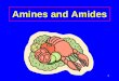 Amines and Amides - Ms. Keating's Web Siteskeatingscience.weebly.com/uploads/8/8/0/2/8802224/7_amines_an… · Amines and Amides . 2 Amines ... 3—NH CH 3—N — CH 3 1° 2° 3°