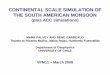 CONTINENTAL SCALE SIMULATION OF THE SOUTH AMERICAN … · 2009-10-09 · CONTINENTAL SCALE SIMULATION OF THE SOUTH AMERICAN MONSOON (plus ACC simulations) MARK FALVEY AND RENE GARREAUD