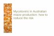 Mycotoxins in Australian maize production: how to reduce the risk in... · 2016-11-10 · What is HACCP? ... Australian conditions and the maize industry. Mycotoxins of concern in