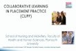 COLLABORATIVE LEARNING IN PLACEMENT PRACTICE (CLIPP) · COLLABORATIVE LEARNING IN PLACEMENT PRACTICE (CLIPP) School of Nursing and Midwifery, Faculty of Health and Human Sciences,