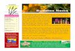 Buddies News - Kiteskites.org.nz/wp-content/uploads/2018/12/Buddies... · Suzy Stevens Tane Rangihuna, Kites Trust MIX Oasis Network Incorporated Pak N Save Petone Whittaker’s Chocolate