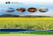 Regional Plan – Whyalla and Eyre Peninsula … · This document is the intellectual property and copyright 2012 of the RDA Whyalla and Eyre Peninsula Inc. No part of this document