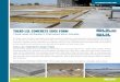 TOLKO LSL CONCRETE EDGE FORM LSL · TOLKO LSL CONCRETE EDGE FORM TRUE AND STRAIGHT FOR MULTIPLE POURS LSL CONCRETE EDGE FORM At Tolko, we’ve built our reputation on quality products,